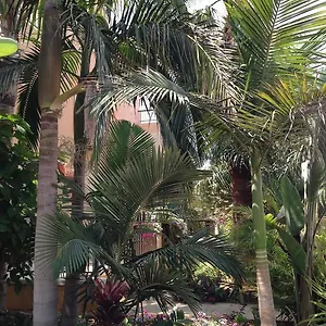 https://constantaras-apartments.protaras-cy-hotels.com
